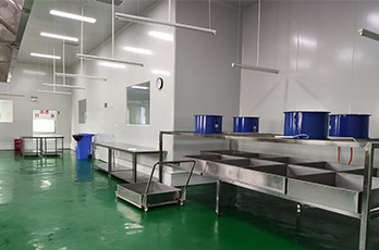 成都凈化工程之潔凈廠房墻、柱、頂涂裝工程