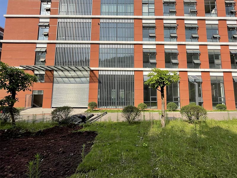 瀘州袁大頭麻辣雞項目